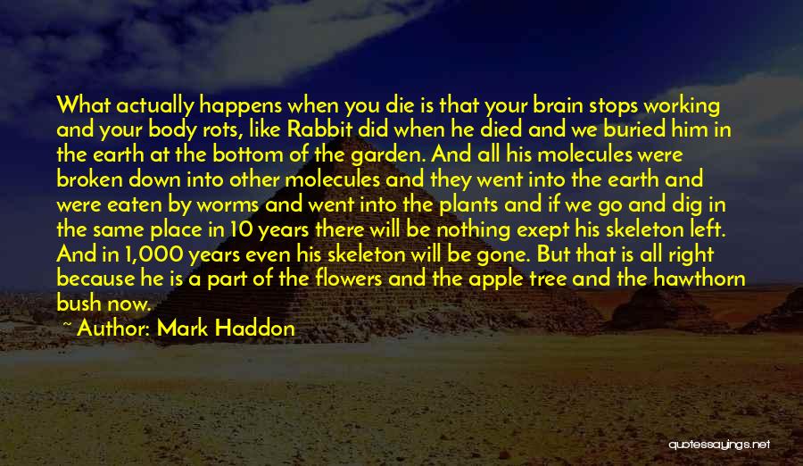 Life Like Flowers Quotes By Mark Haddon