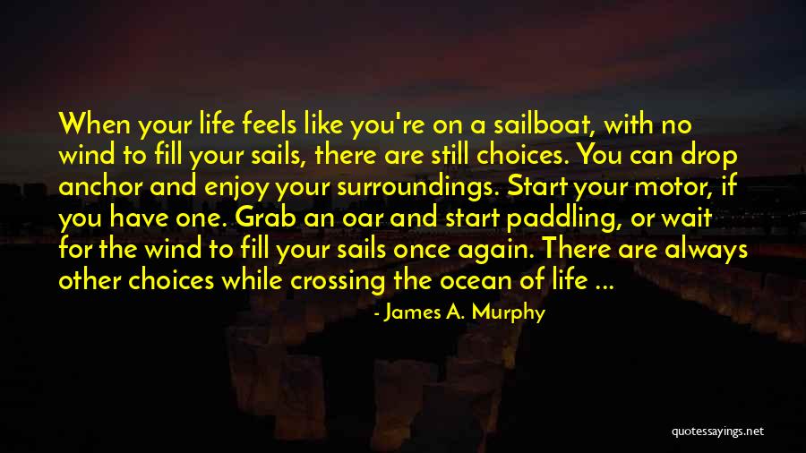 Life Like The Ocean Quotes By James A. Murphy