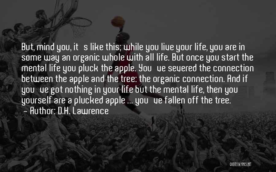 Life Like Tree Quotes By D.H. Lawrence