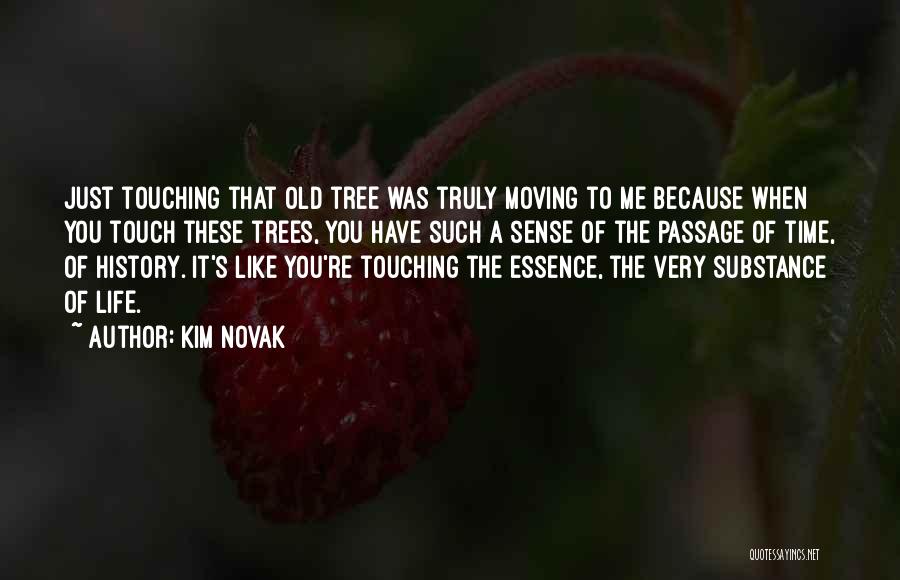 Life Like Tree Quotes By Kim Novak