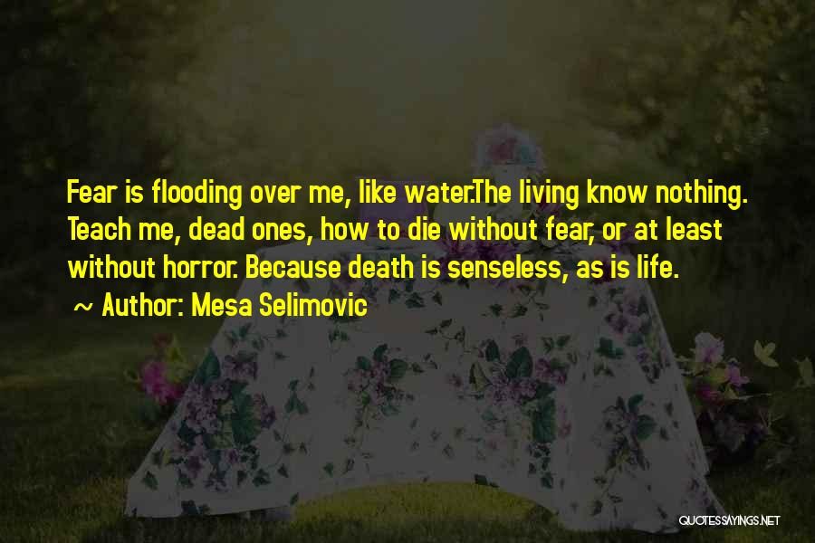 Life Like Water Quotes By Mesa Selimovic