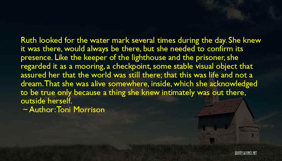 Life Like Water Quotes By Toni Morrison