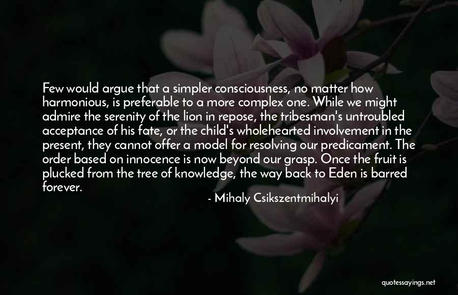 Life Lion Quotes By Mihaly Csikszentmihalyi Life Lion Quotes By Mihaly Csikszentmihalyi
