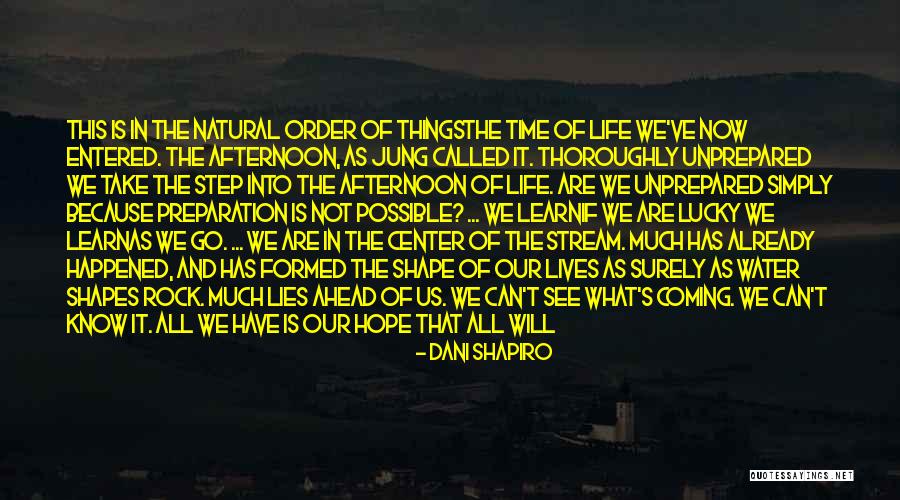 Life Live And Learn Quotes By Dani Shapiro Life Live And Learn Quotes By Dani Shapiro