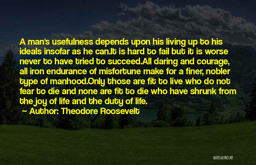 Life Live It Up Quotes By Theodore Roosevelt