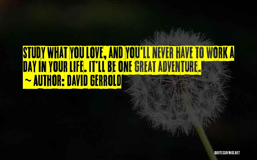 Life Love And Adventure Quotes By David Gerrold