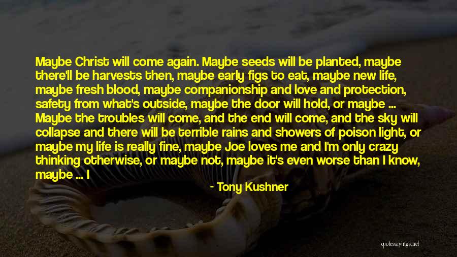 Life Love And Lies Quotes By Tony Kushner Life Love And Lies Quotes By Tony Kushner