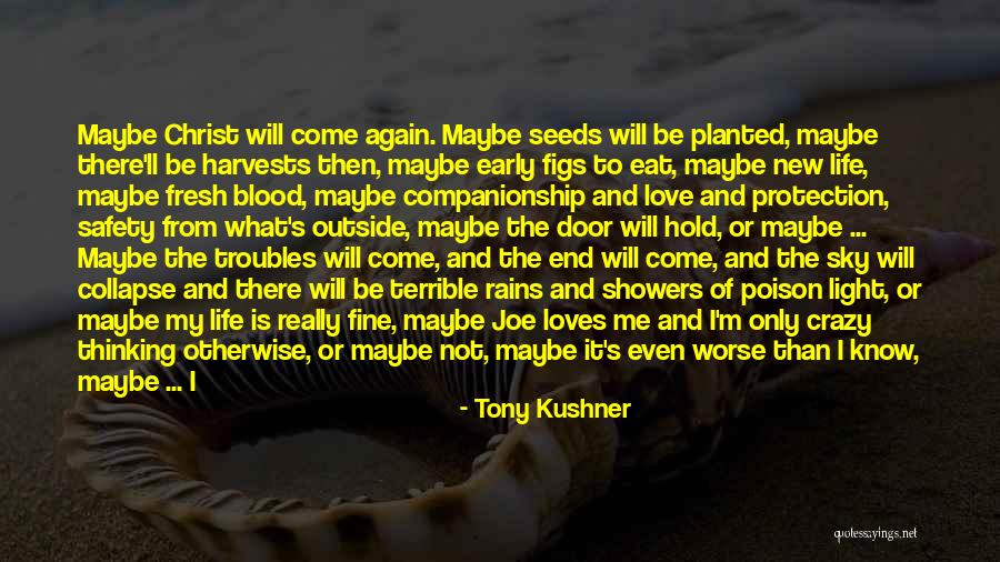 Life Love And Lies Quotes By Tony Kushner