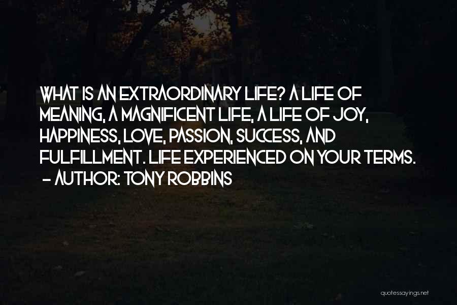 Life Love And Success Quotes By Tony Robbins