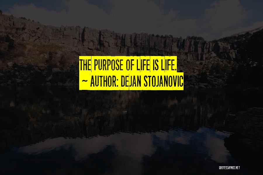 Life Love Meaning Quotes By Dejan Stojanovic