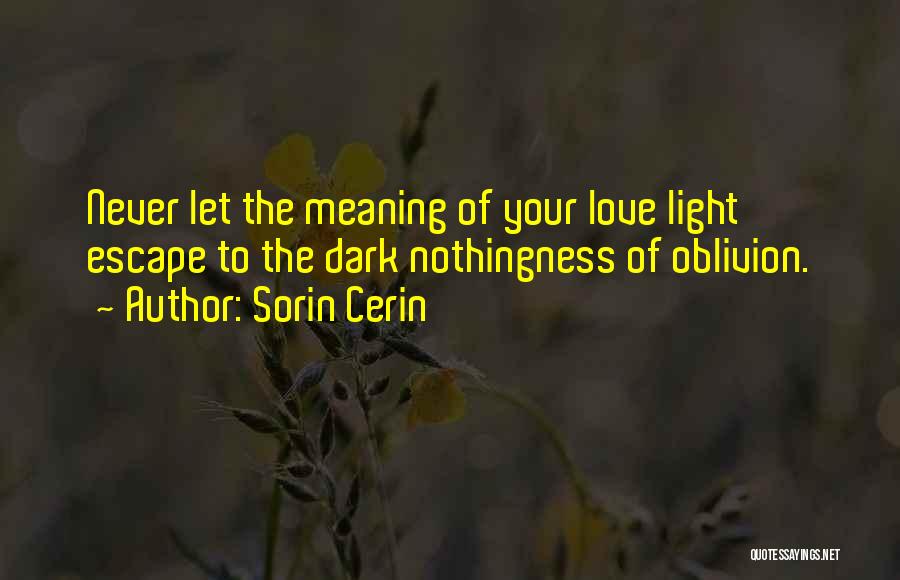 Life Love Meaning Quotes By Sorin Cerin