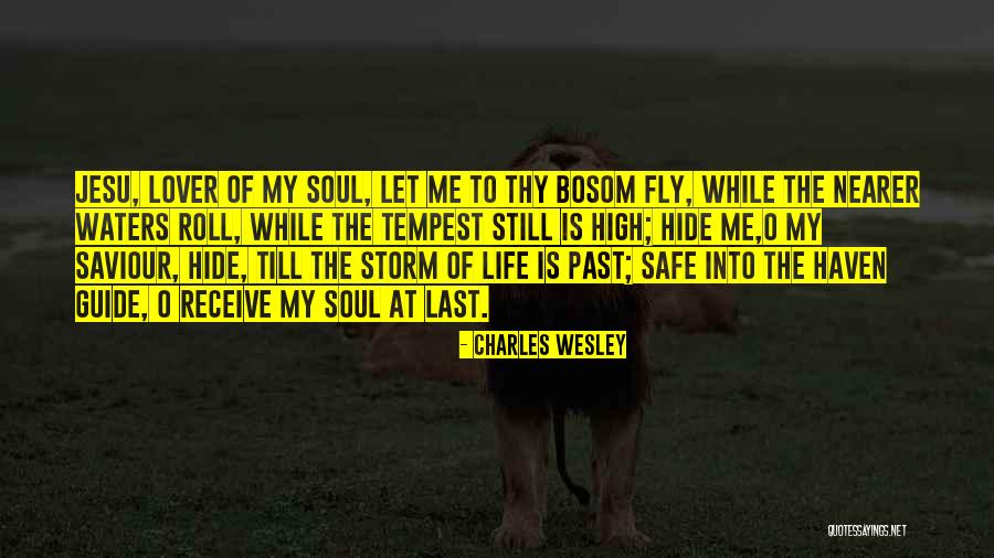 Life Lover Quotes By Charles Wesley