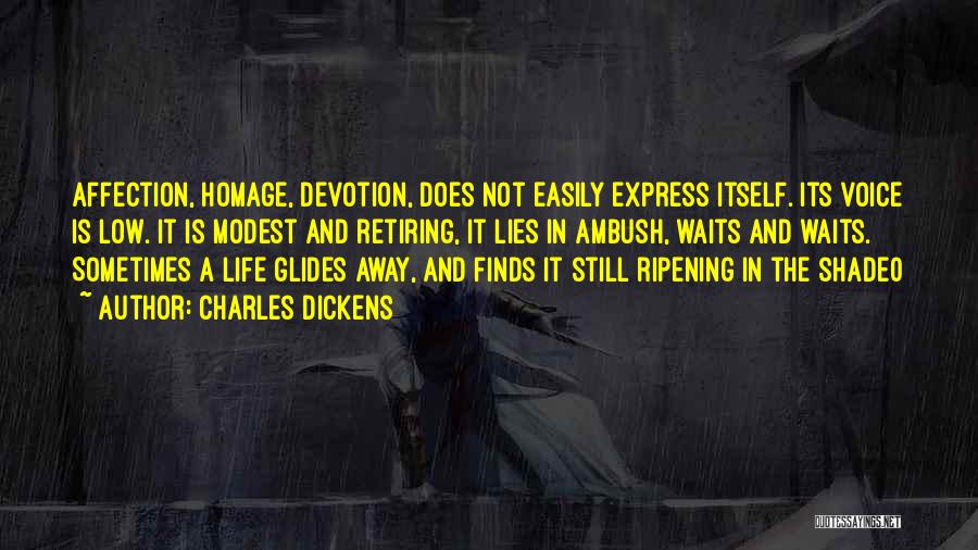 Life Low Quotes By Charles Dickens