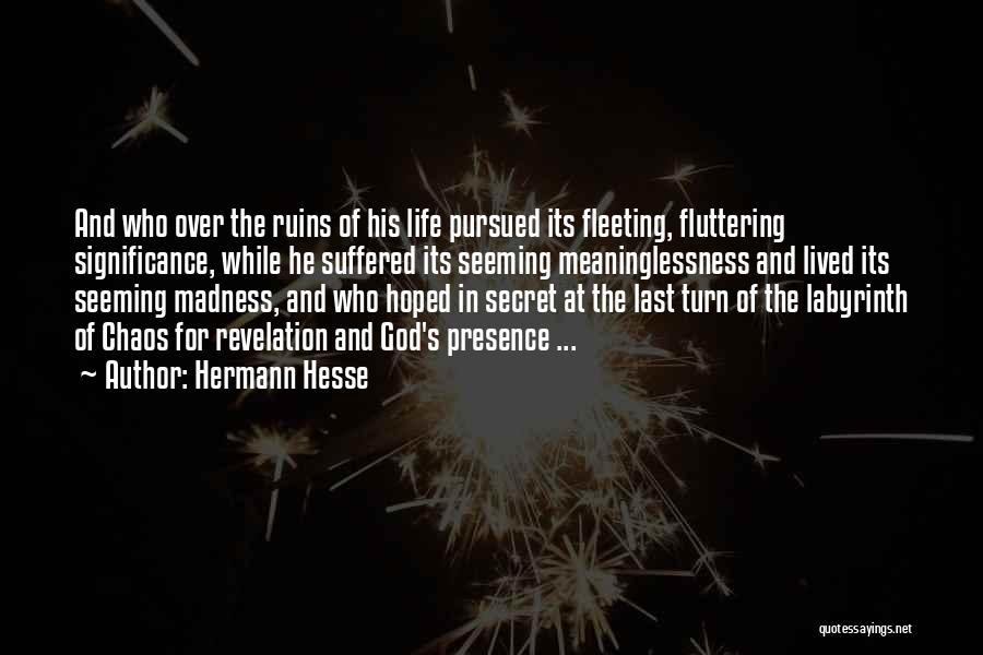 Life Madness Quotes By Hermann Hesse