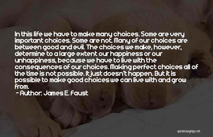 Life Making Choices Quotes By James E. Faust
