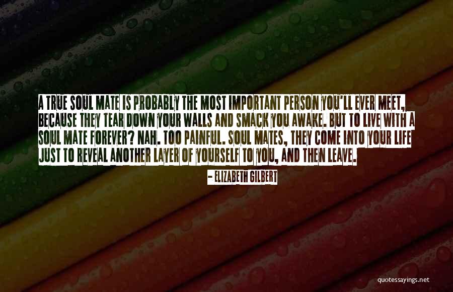 Life Mates Quotes By Elizabeth Gilbert Life Mates Quotes By Elizabeth Gilbert