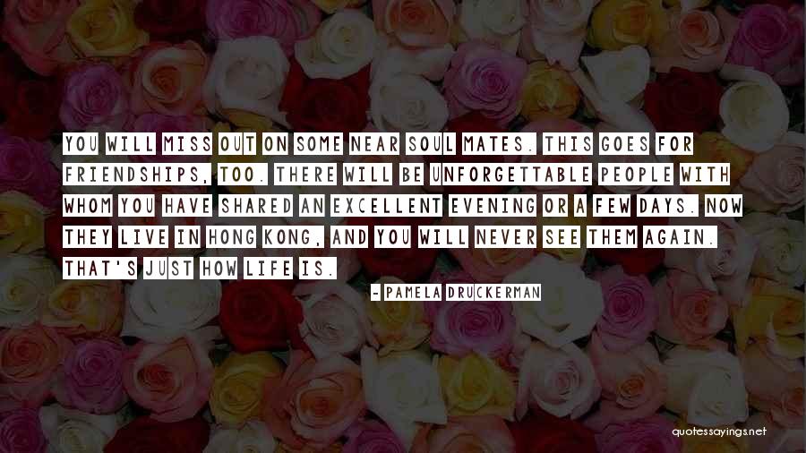 Life Mates Quotes By Pamela Druckerman Life Mates Quotes By Pamela Druckerman