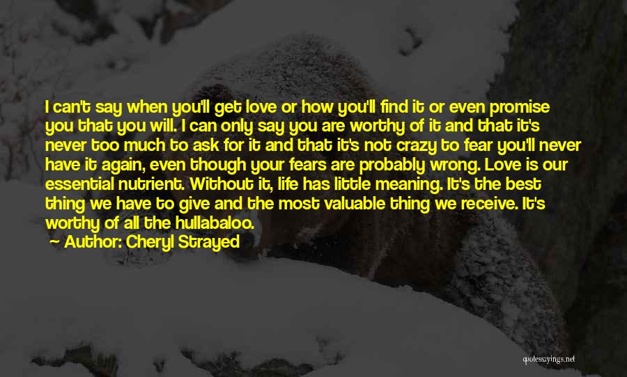 Life Meaning Love Quotes By Cheryl Strayed