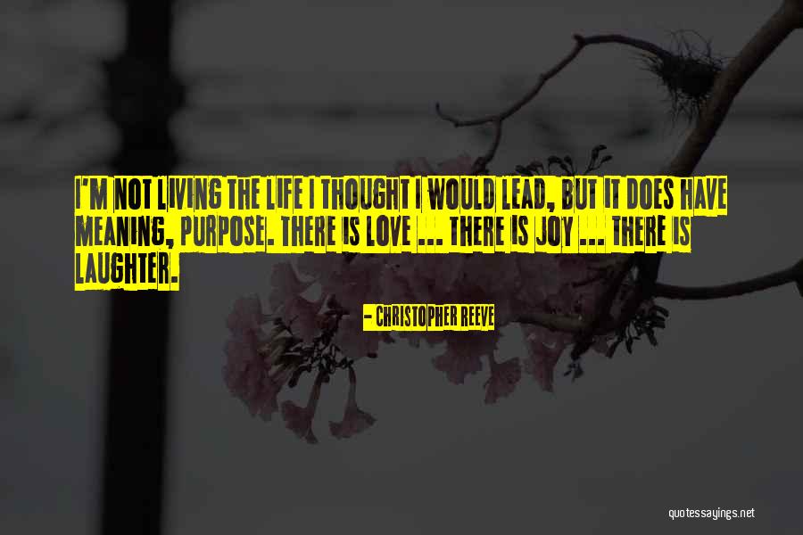 Life Meaning Love Quotes By Christopher Reeve