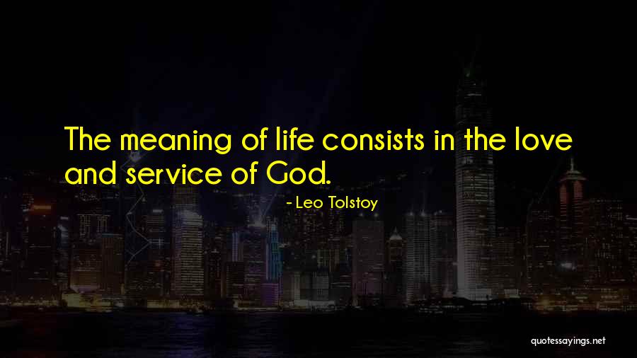 Life Meaning Love Quotes By Leo Tolstoy