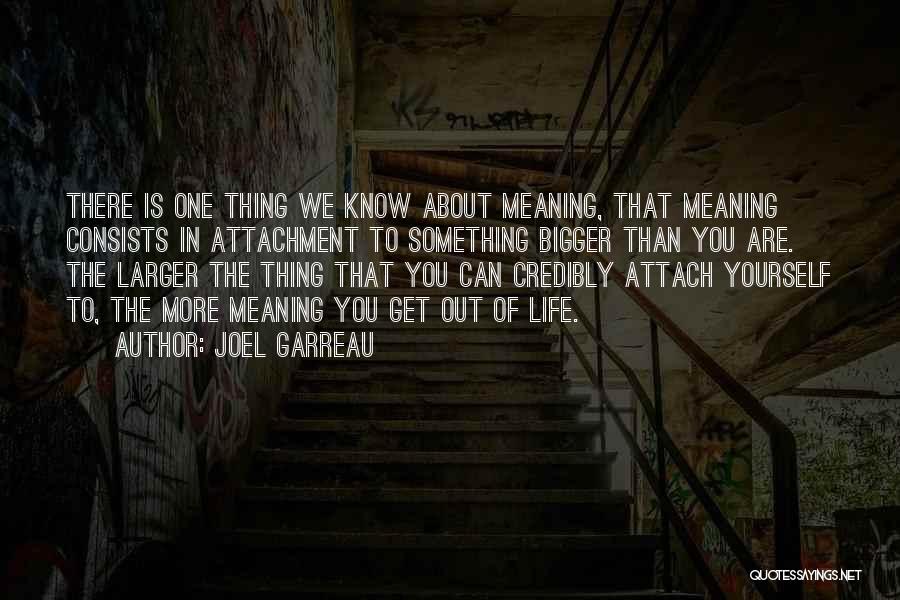 Life Meaning Something Quotes By Joel Garreau