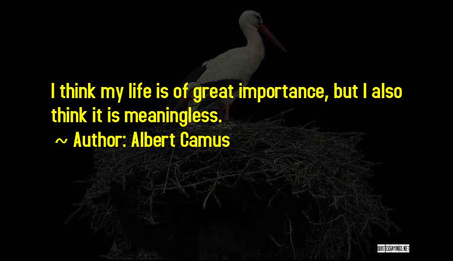 Life Meaningless Quotes By Albert Camus