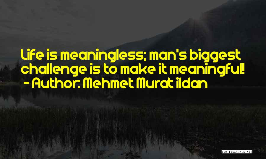 Life Meaningless Quotes By Mehmet Murat Ildan