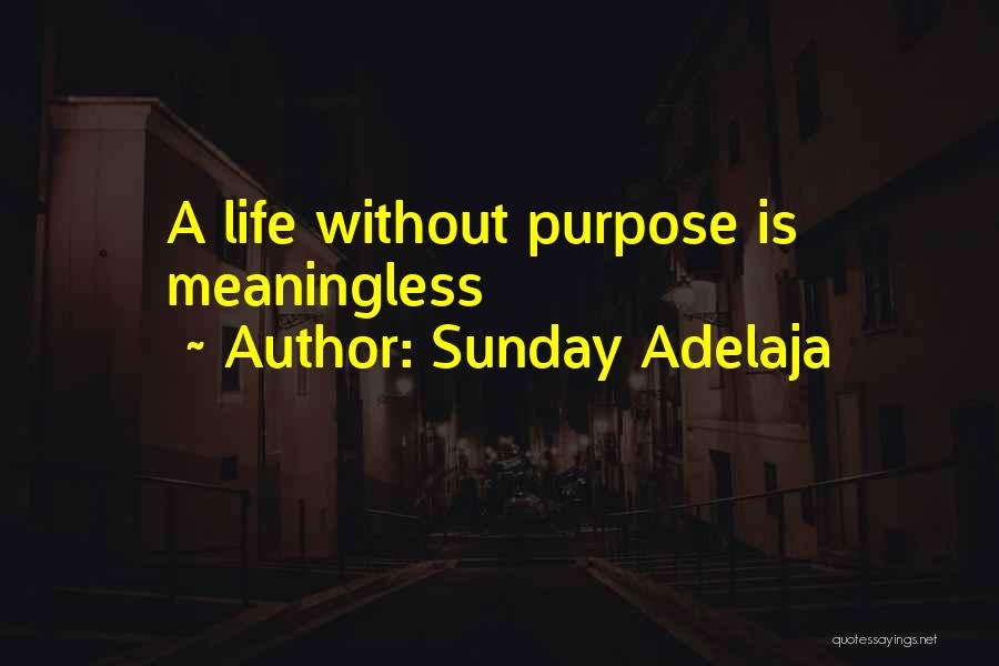 Life Meaningless Quotes By Sunday Adelaja