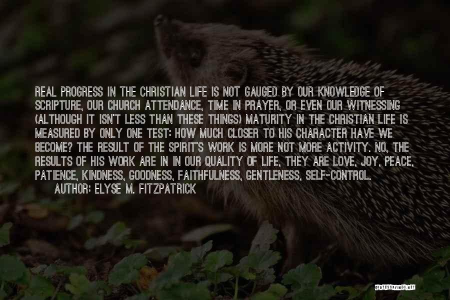 Life Measured Quotes By Elyse M. Fitzpatrick