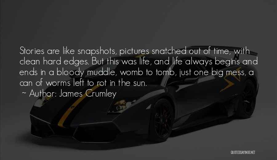 Life Mess Quotes By James Crumley