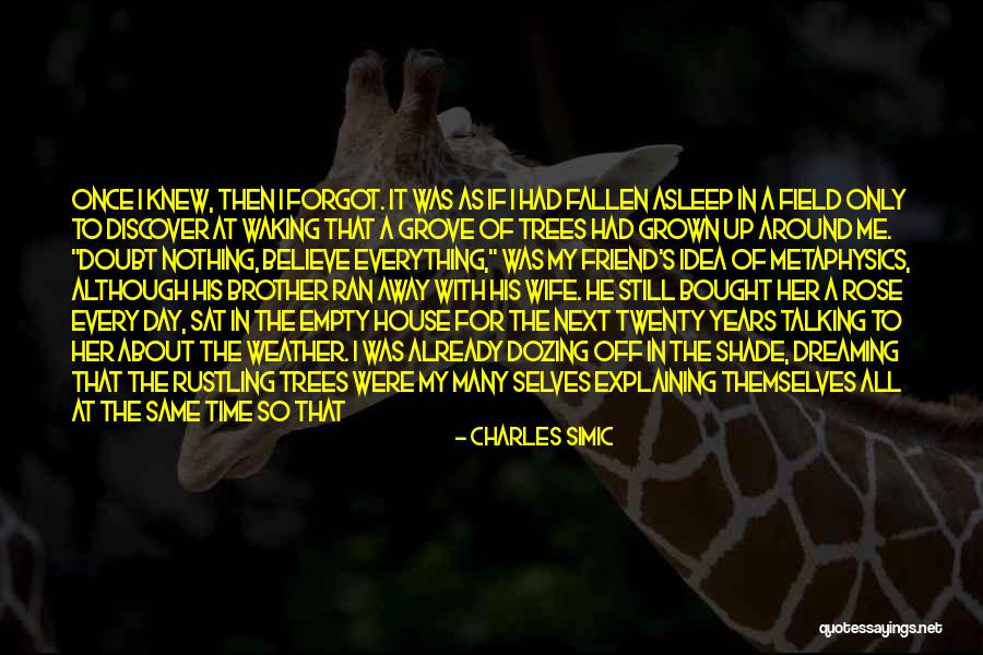 Life Metaphysics Quotes By Charles Simic Life Metaphysics Quotes By Charles Simic