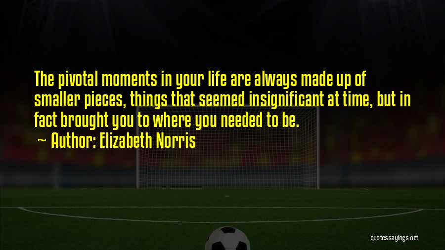 Life Moments Made Up Of Quotes By Elizabeth Norris