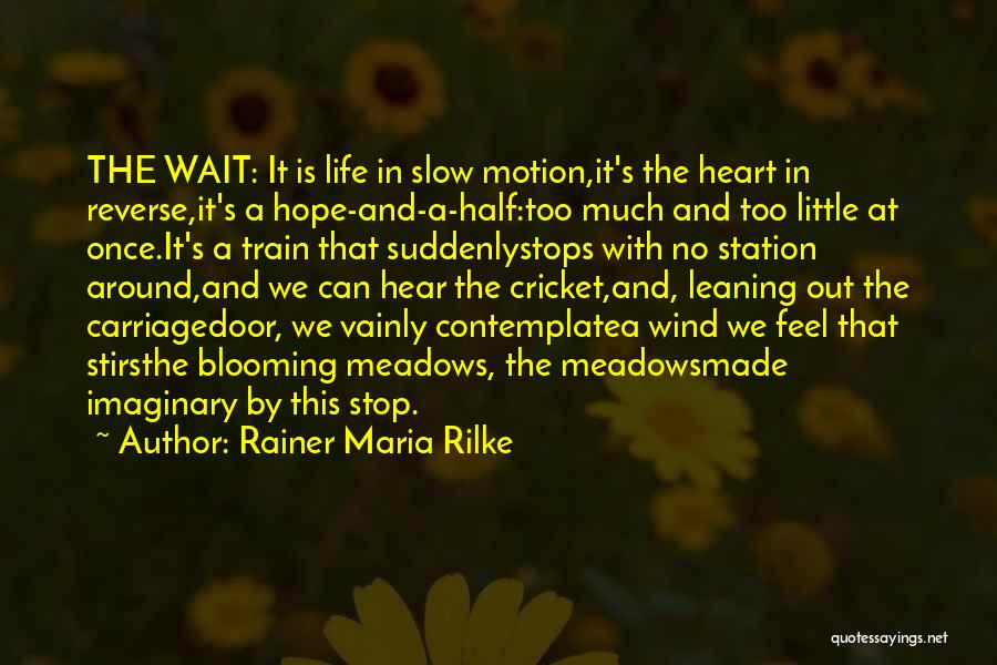 Life Motion Quotes By Rainer Maria Rilke