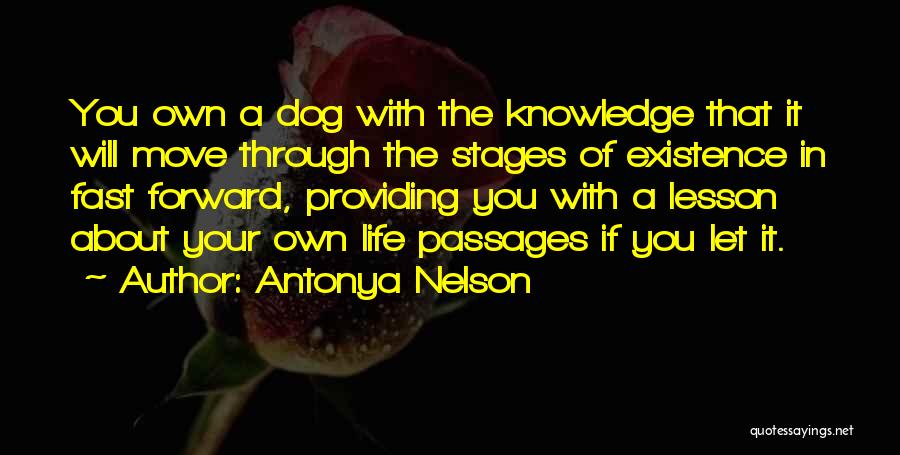 Life Moving Too Fast Quotes By Antonya Nelson
