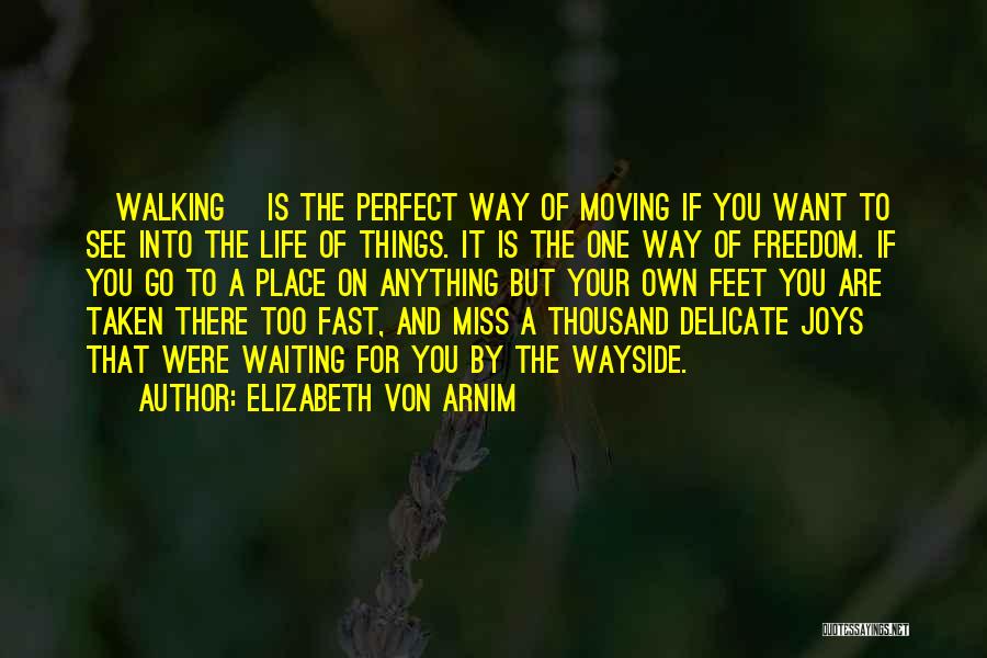 Life Moving Too Fast Quotes By Elizabeth Von Arnim