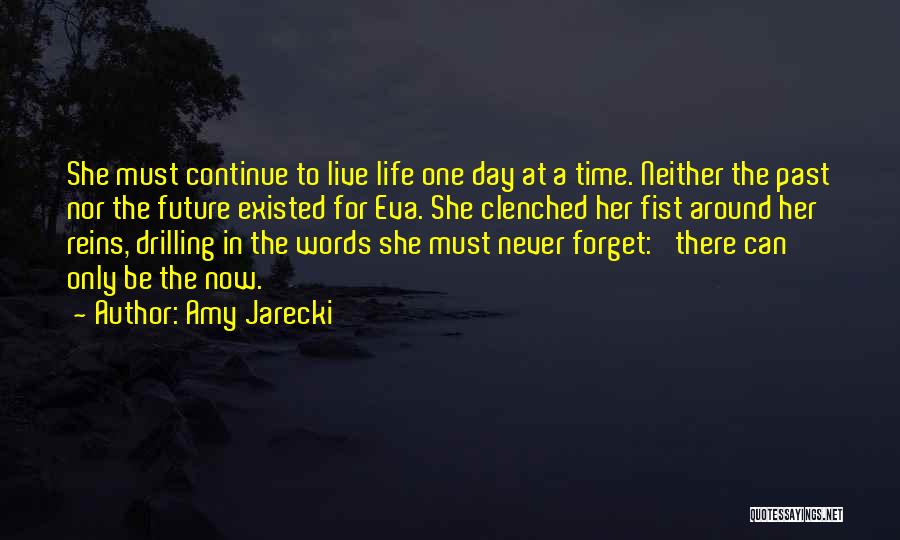 Life Must Continue Quotes By Amy Jarecki
