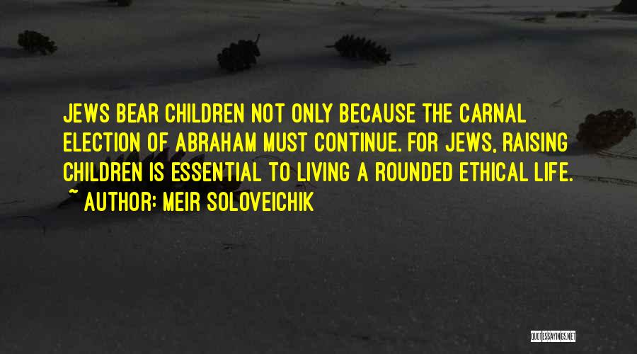 Life Must Continue Quotes By Meir Soloveichik