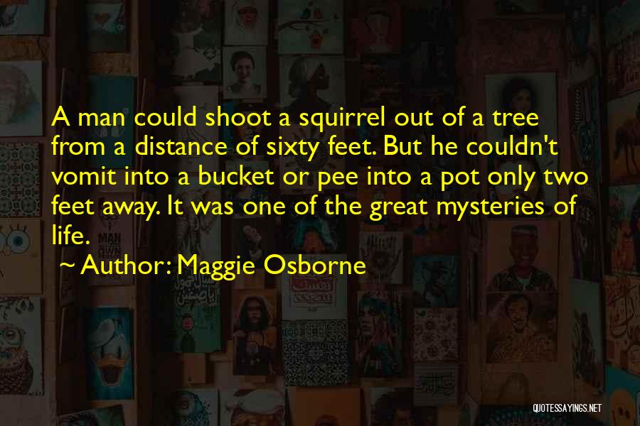 Life Mysteries Quotes By Maggie Osborne