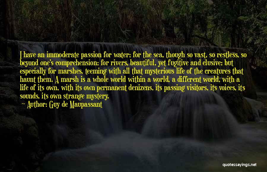 Life Mysterious Quotes By Guy De Maupassant