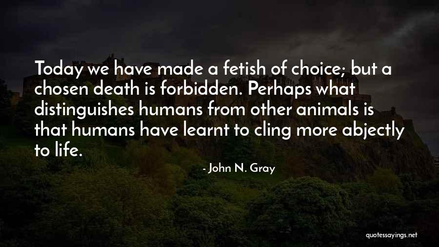 Life N Death Quotes By John N. Gray