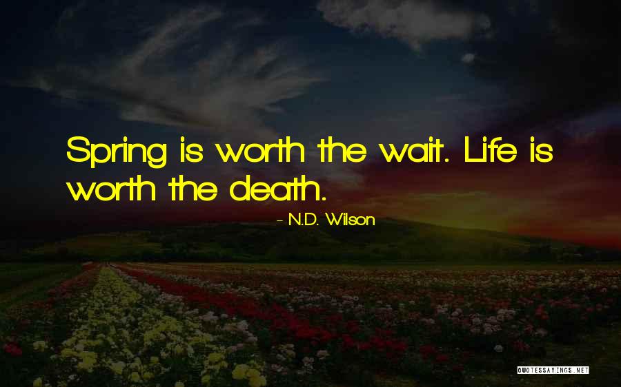 Life N Death Quotes By N.D. Wilson