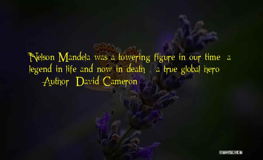 Life Nelson Mandela Quotes By David Cameron