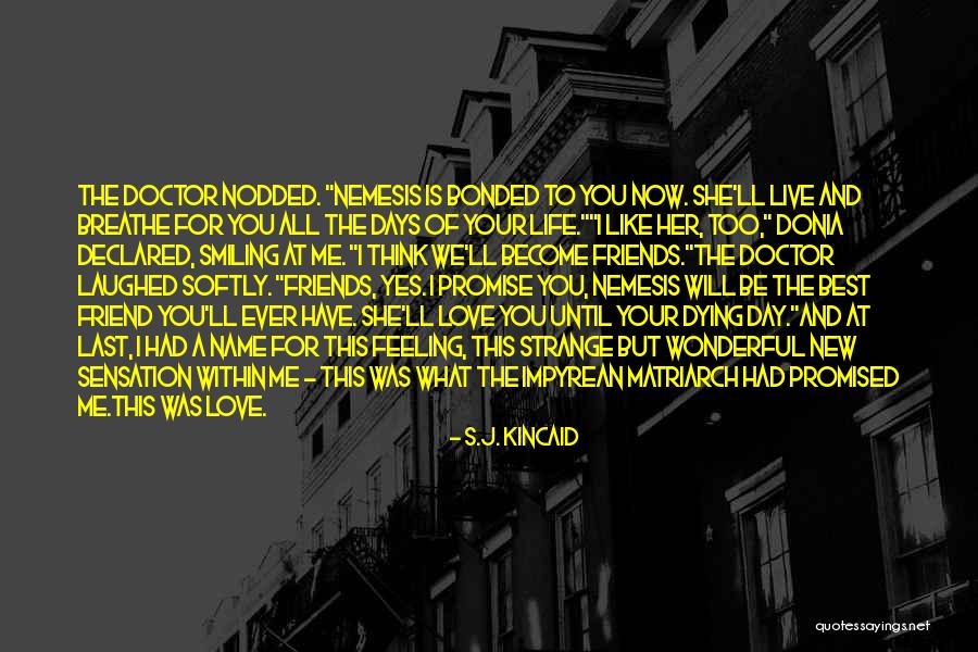 Life Nemesis Quotes By S.J. Kincaid Life Nemesis Quotes By S.J. Kincaid