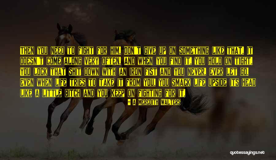 Life Never Give Up Quotes By A Meredith Walters Life Never Give Up Quotes By A Meredith Walters