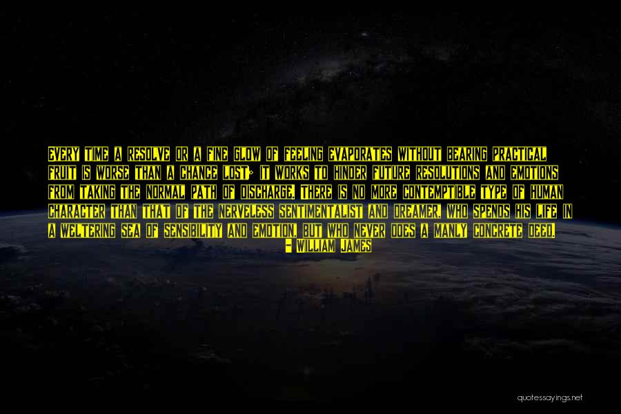 Life Never Works Out Quotes By William James Life Never Works Out Quotes By William James