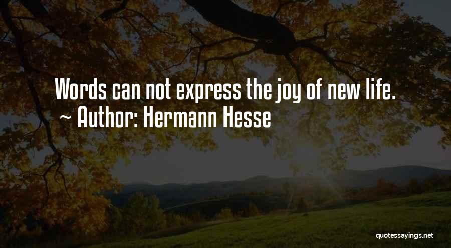 Life New Baby Quotes By Hermann Hesse