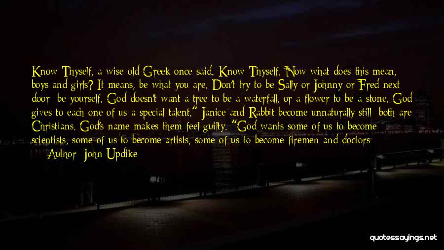 Life Next Door Quotes By John Updike