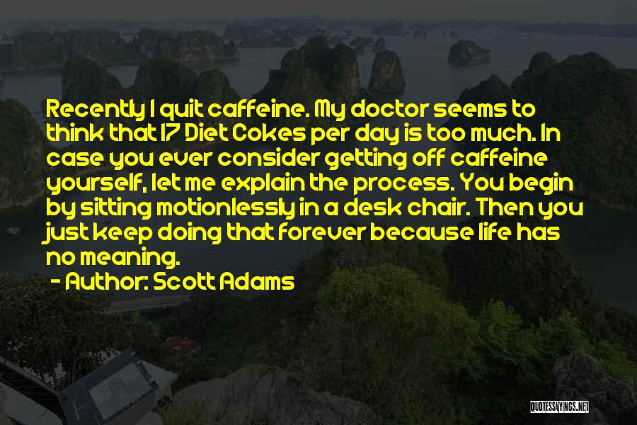 Life No Meaning Quotes By Scott Adams