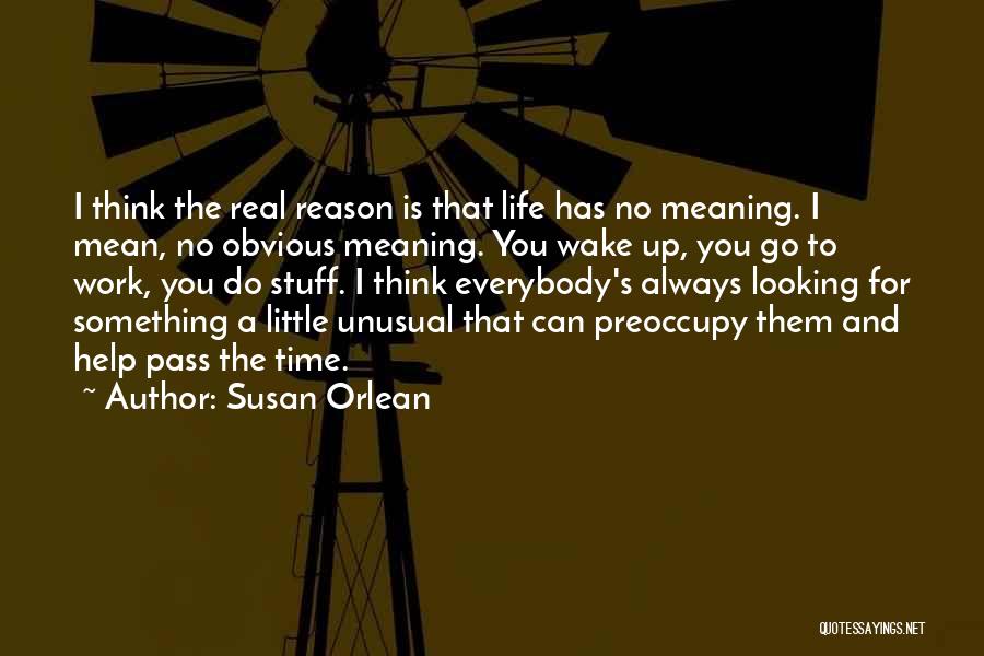 Life No Meaning Quotes By Susan Orlean