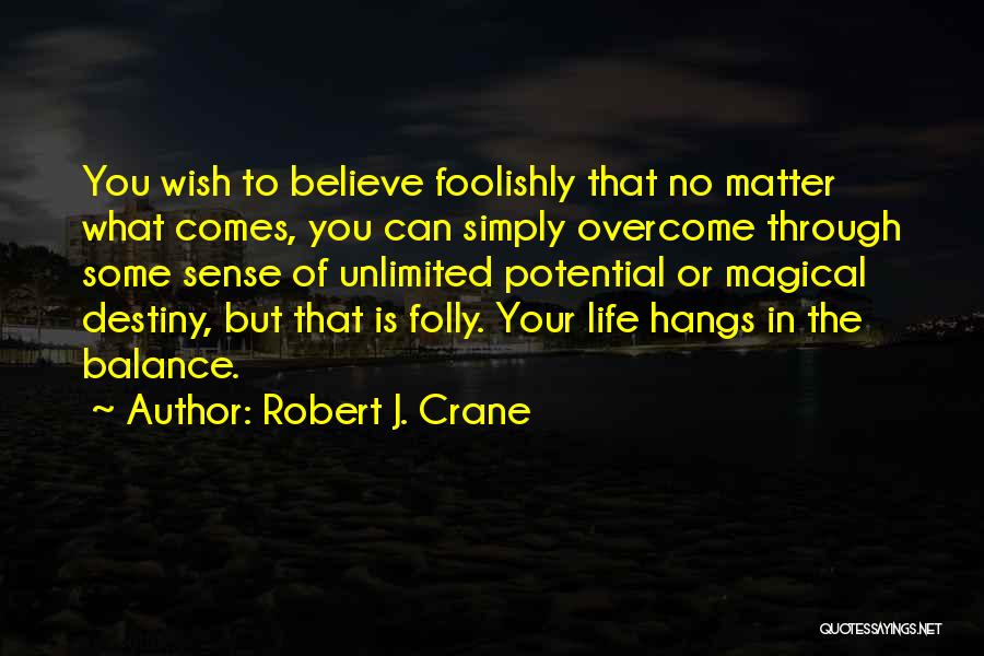 Life No Sense Quotes By Robert J. Crane